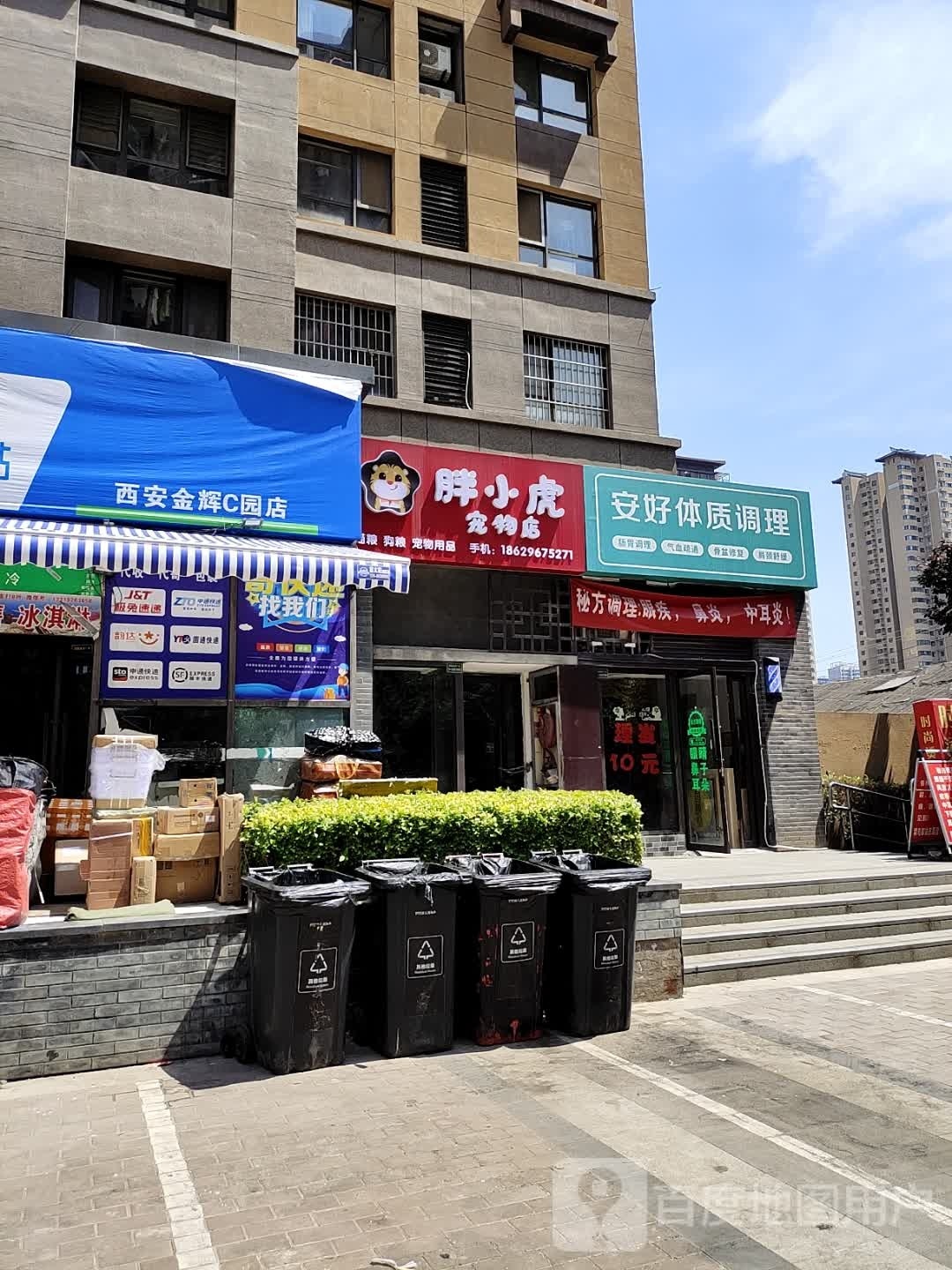 胖小虎宠物店