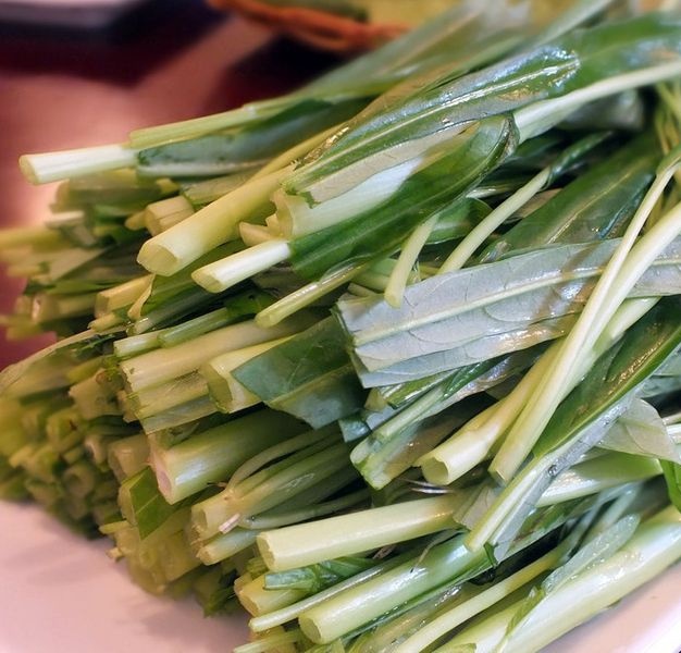 东北大碗麻辣烫(都市仁和中心店)