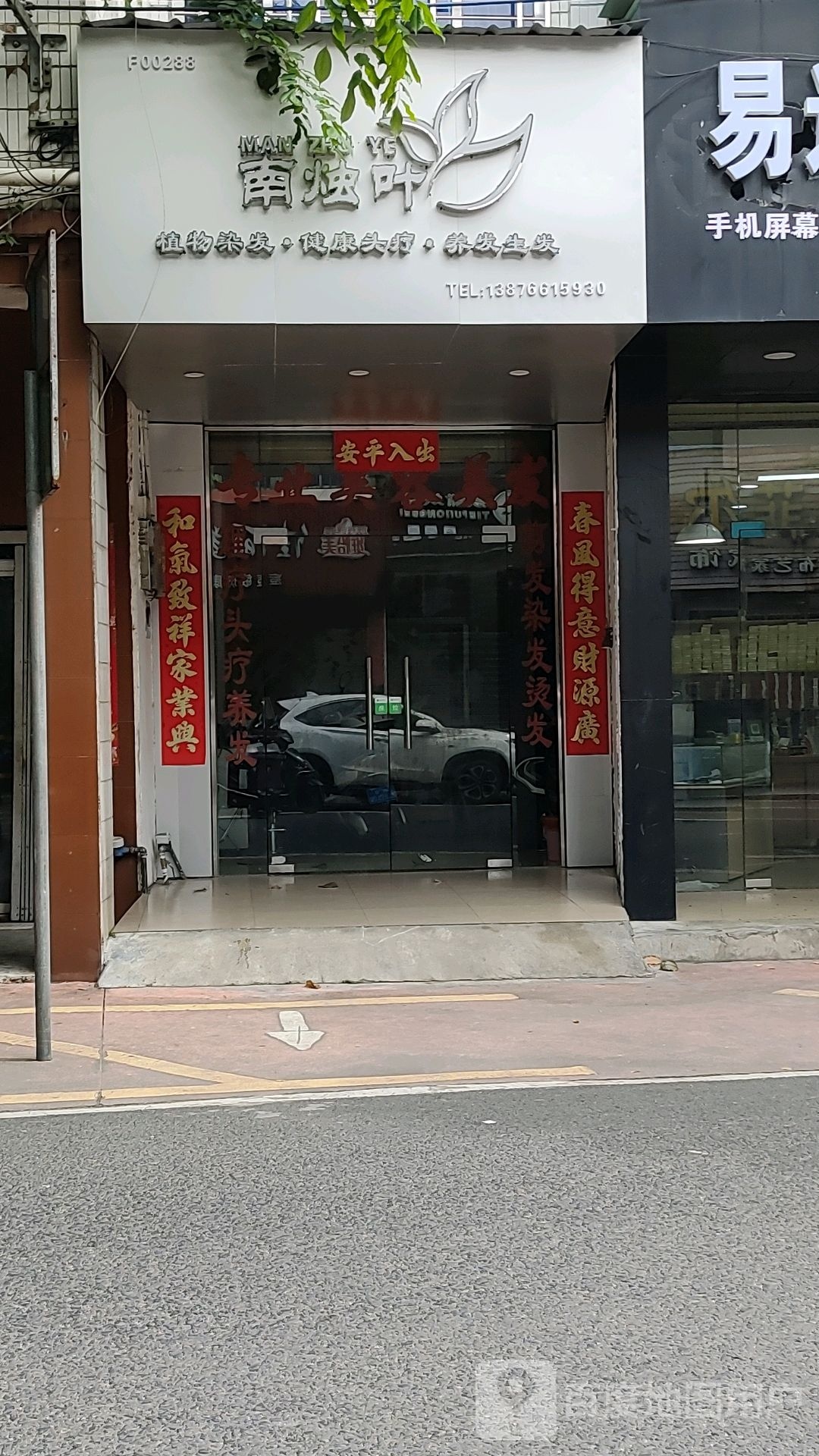 南烛叶