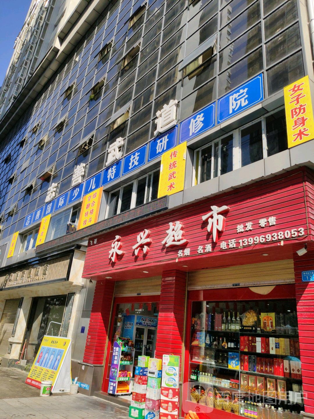 志善武道(跆拳道中华武术·格斗女子防身术)