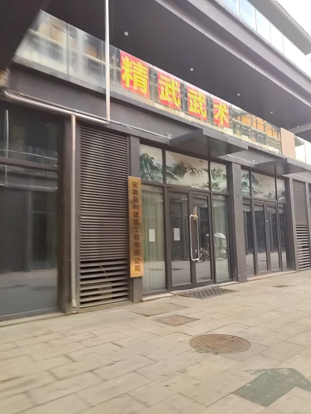 精武武术