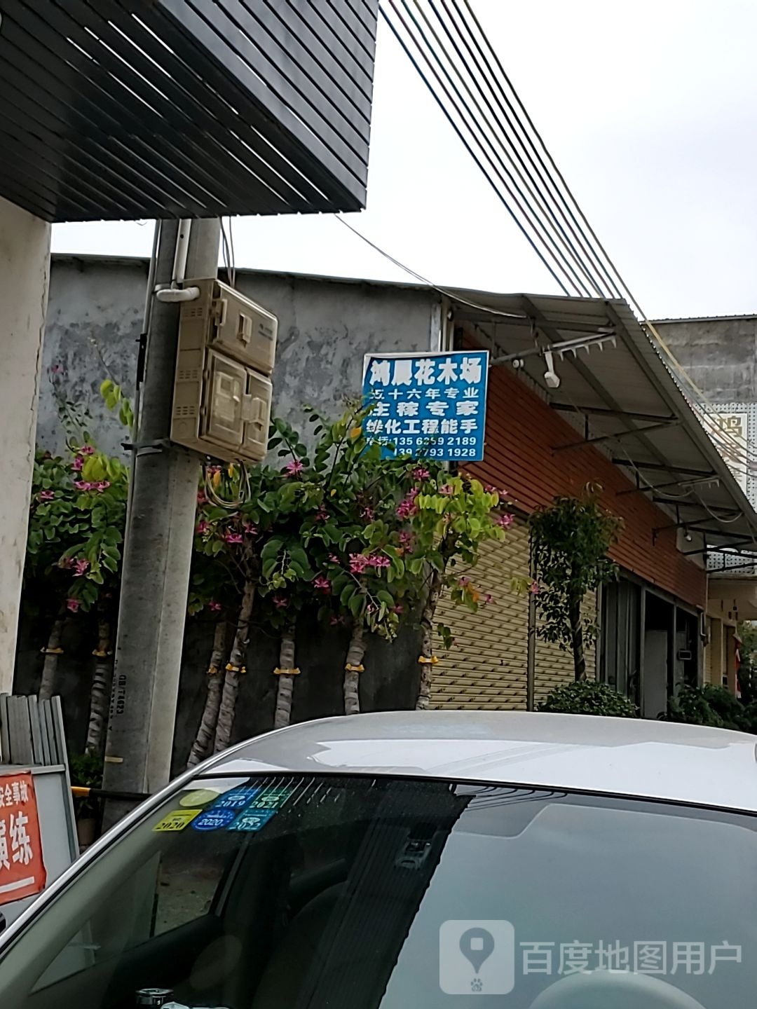 鸿展花木场