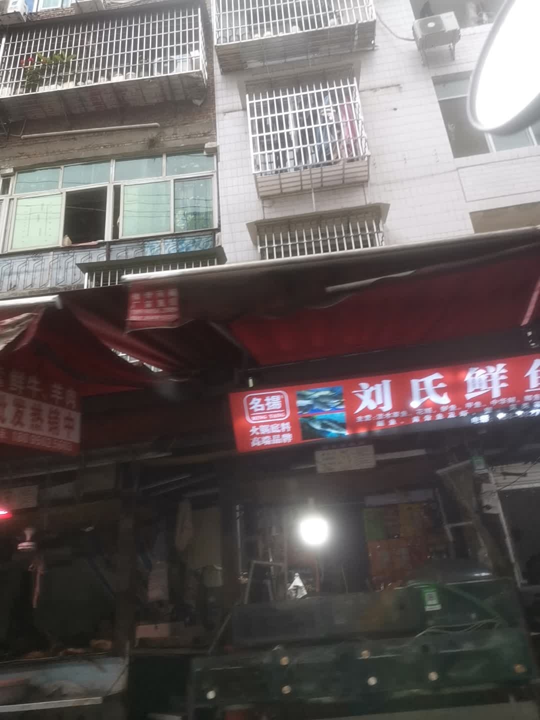 杨氏鲜鱼