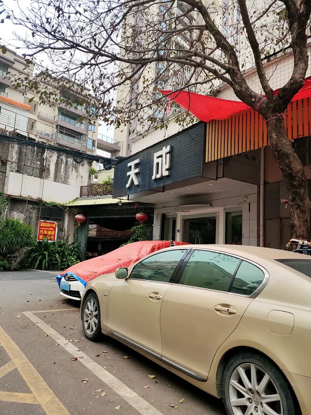 天成婚庆会馆(瓷兴路店)