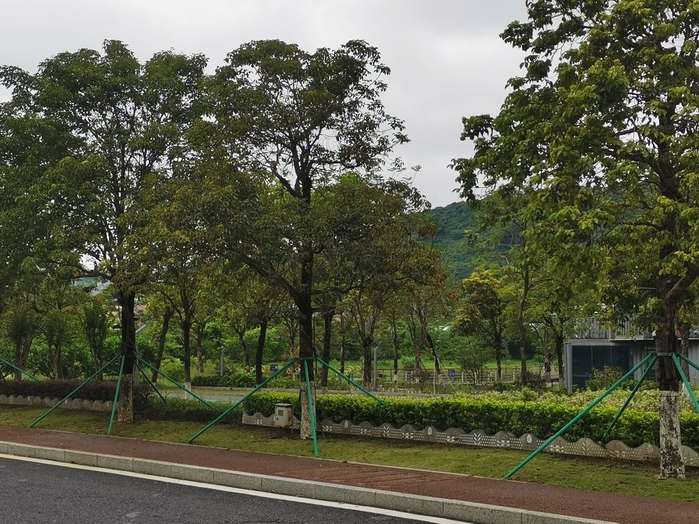 三灶镇南排河生态公园