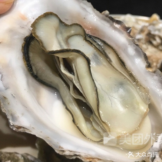 塞外陕城小酒馆(建国路店)