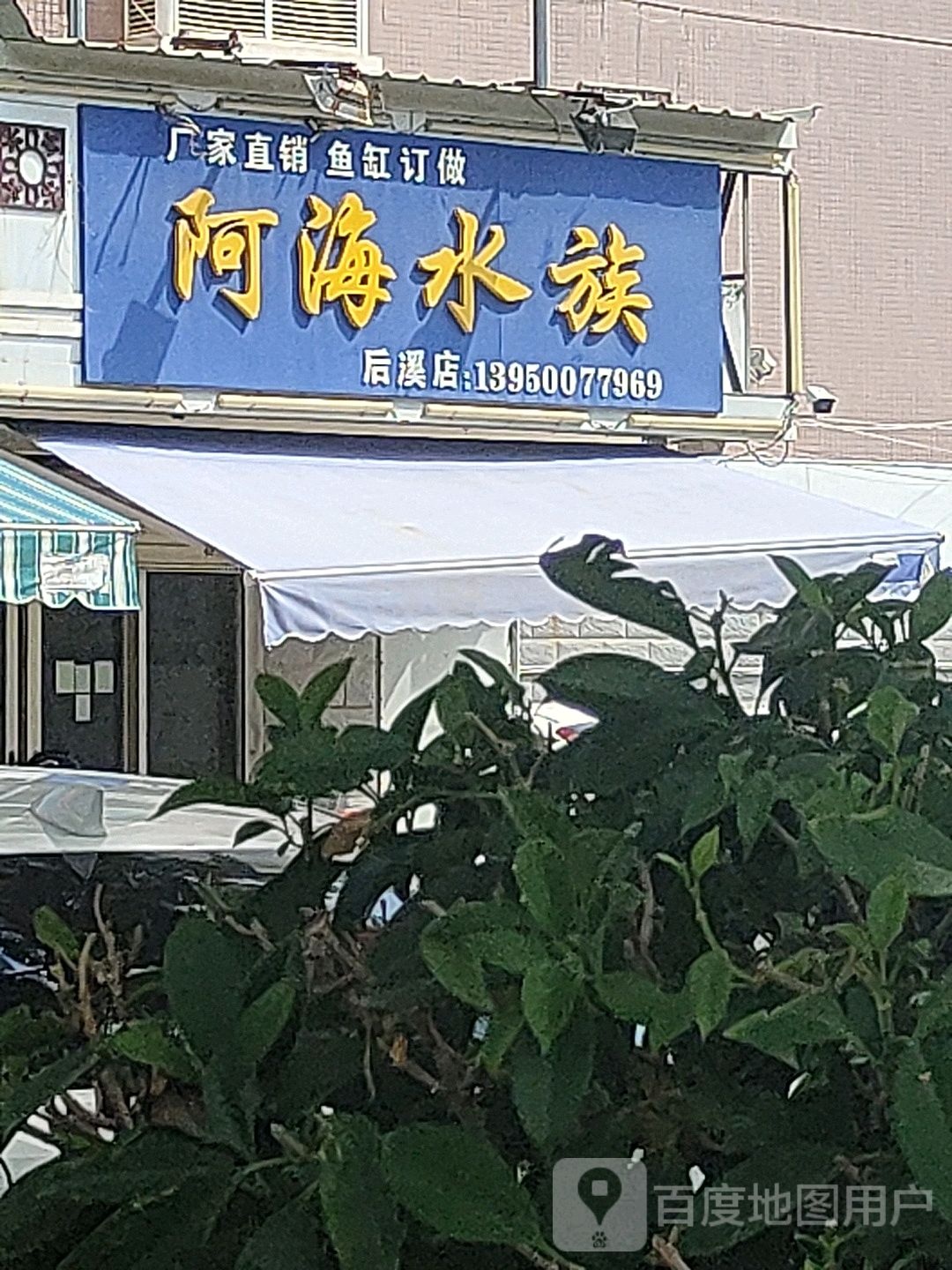 阿海水族