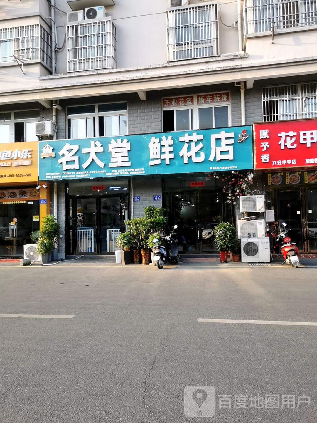 名犬堂鲜花店(六安金安店)