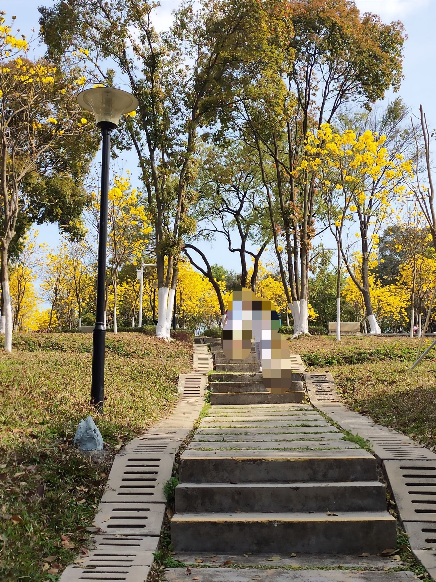 天河儿童公园