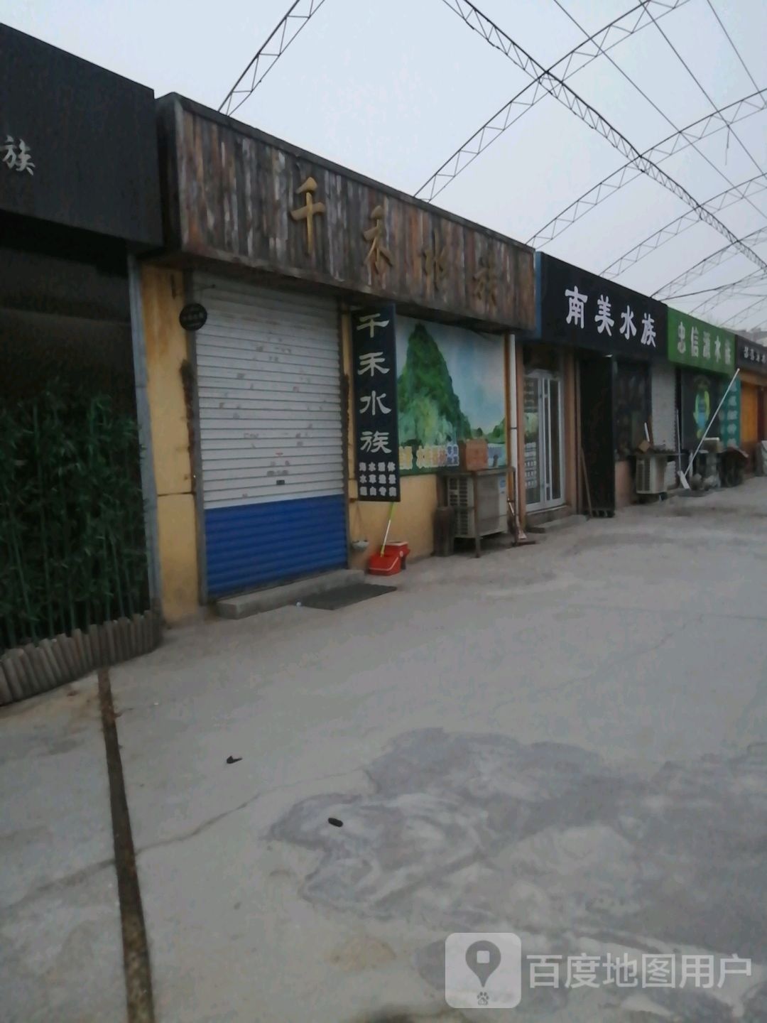 蓝美水族(华光路店)
