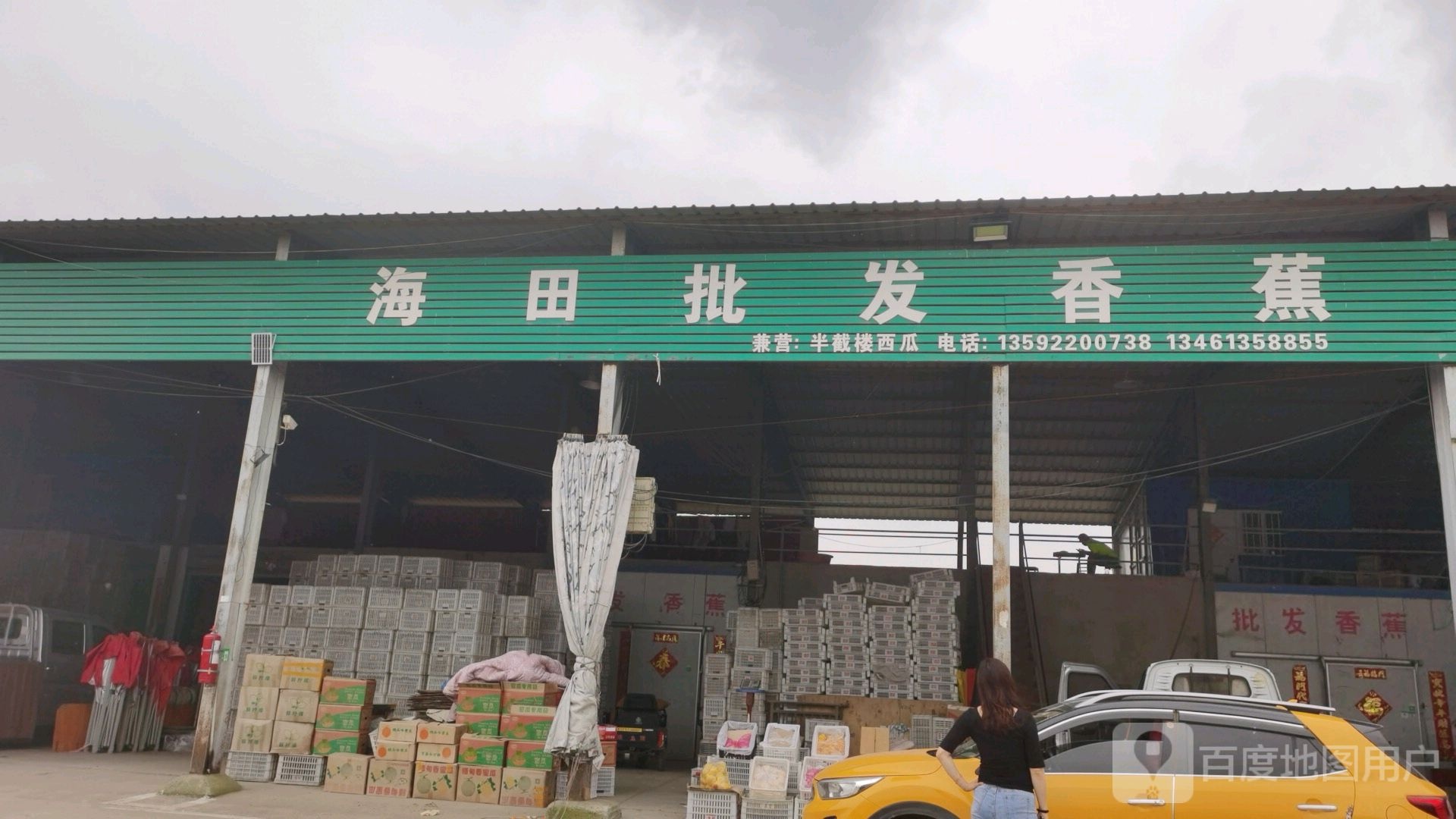 沈丘县槐店回族镇海田批发香蕉