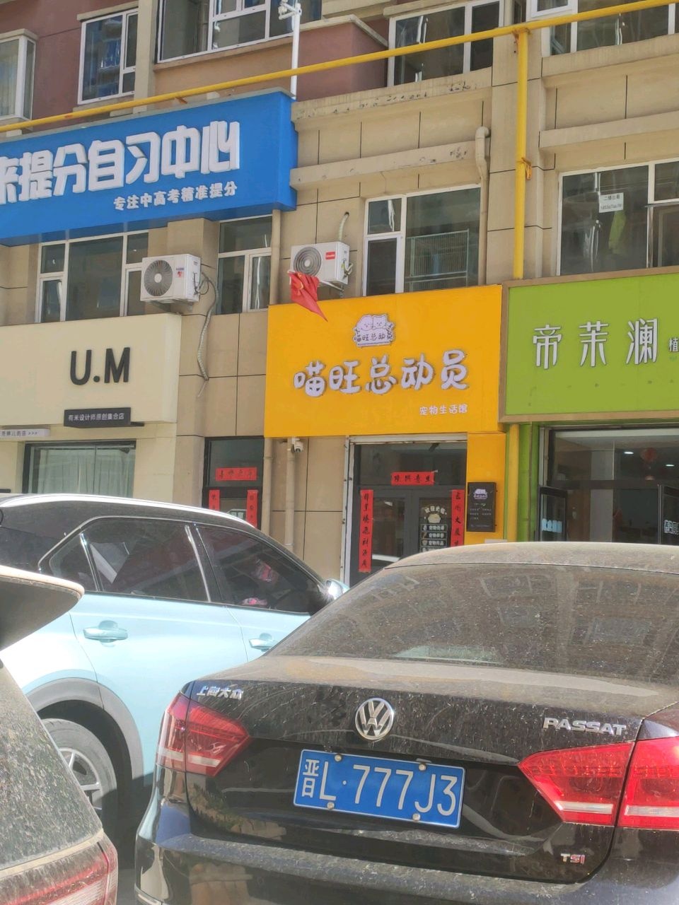 喵旺总动员宠物生活馆