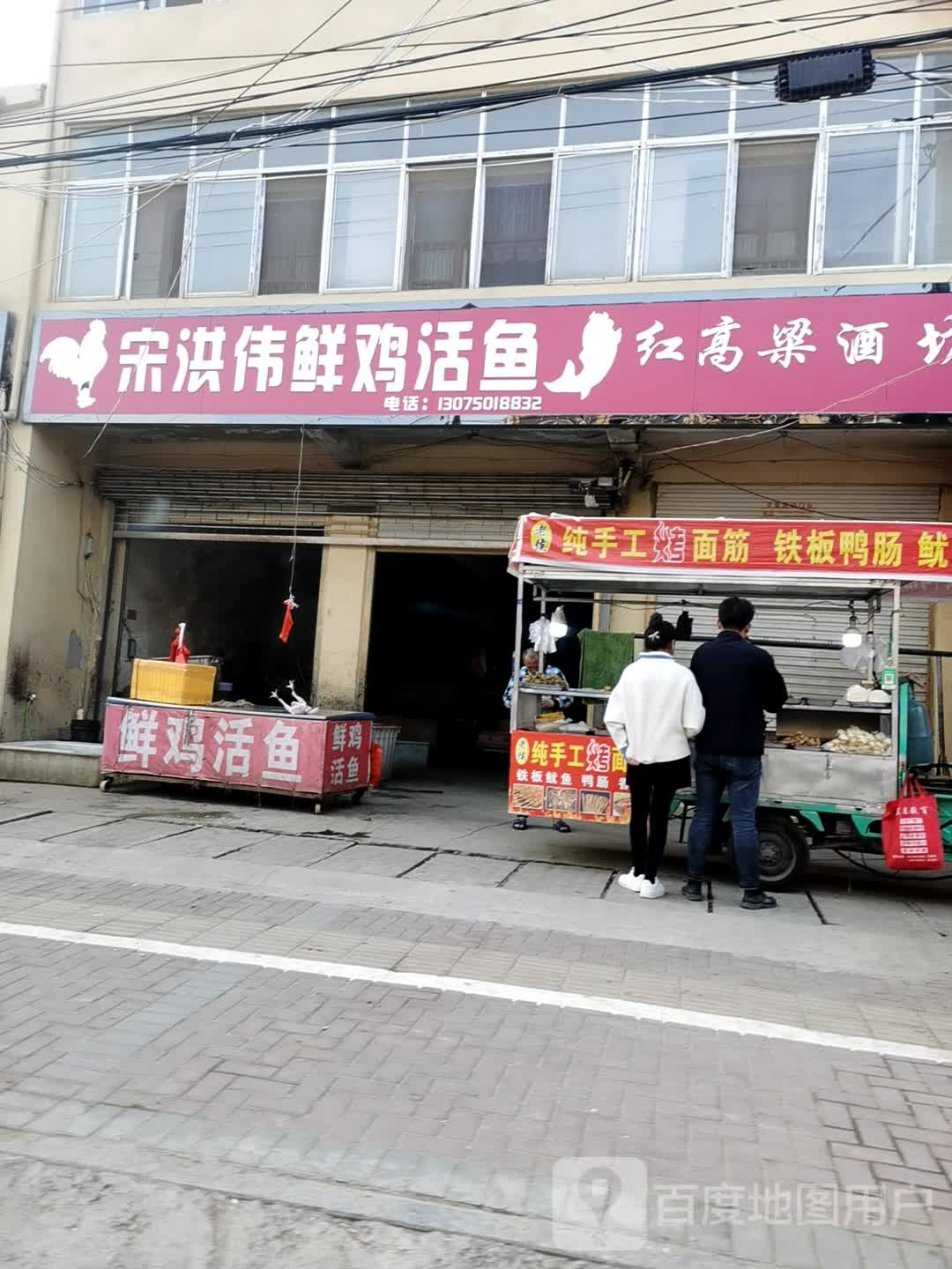 宋洪伟鲜鸡活鱼