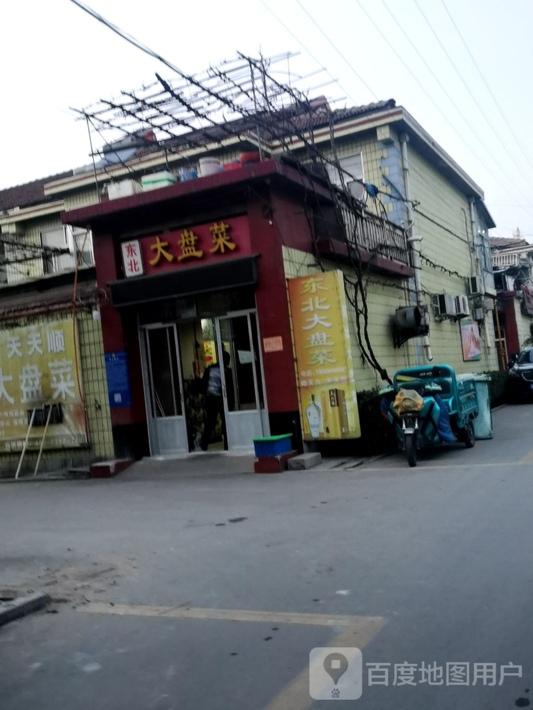 东北大白菜