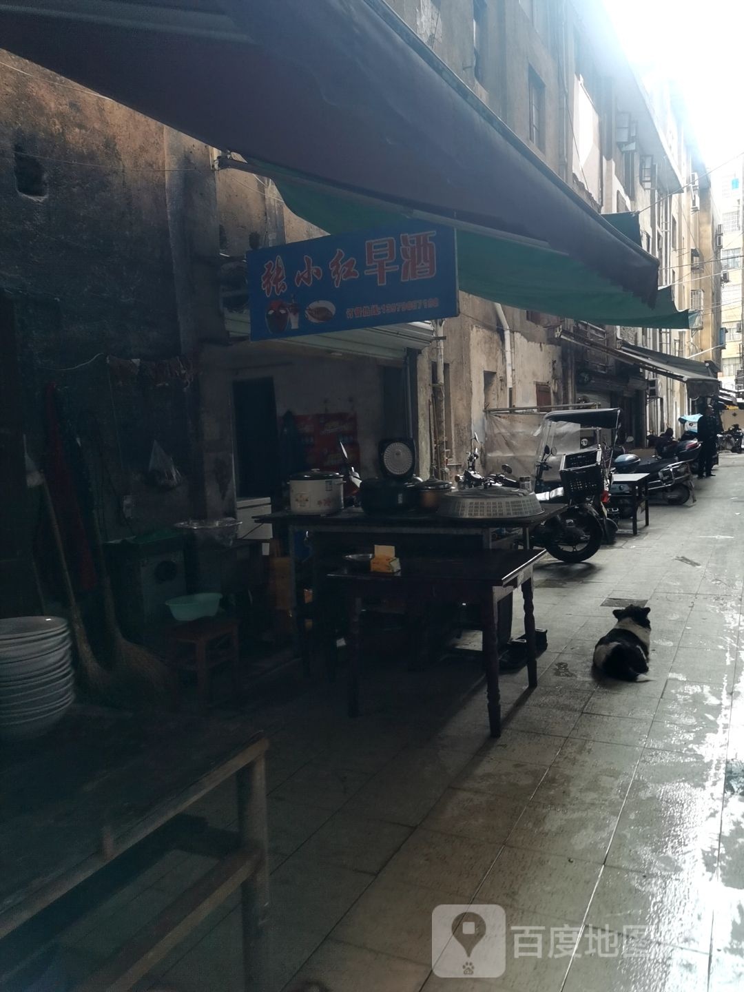张小红早酒