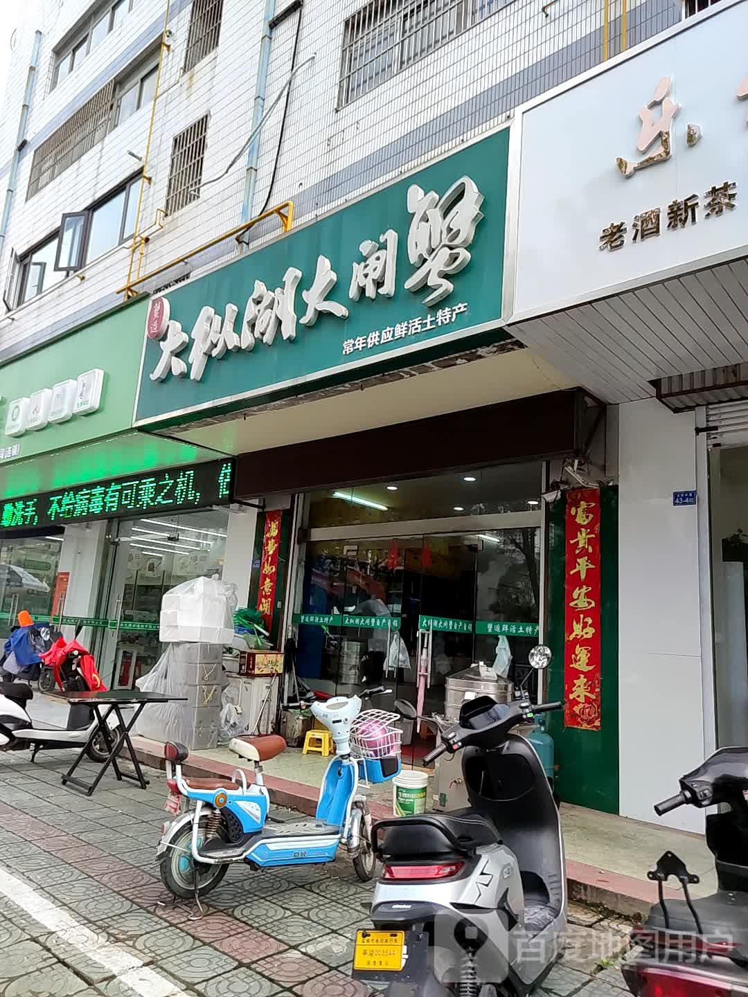 靼大纵湖蟹后笨大闸蟹