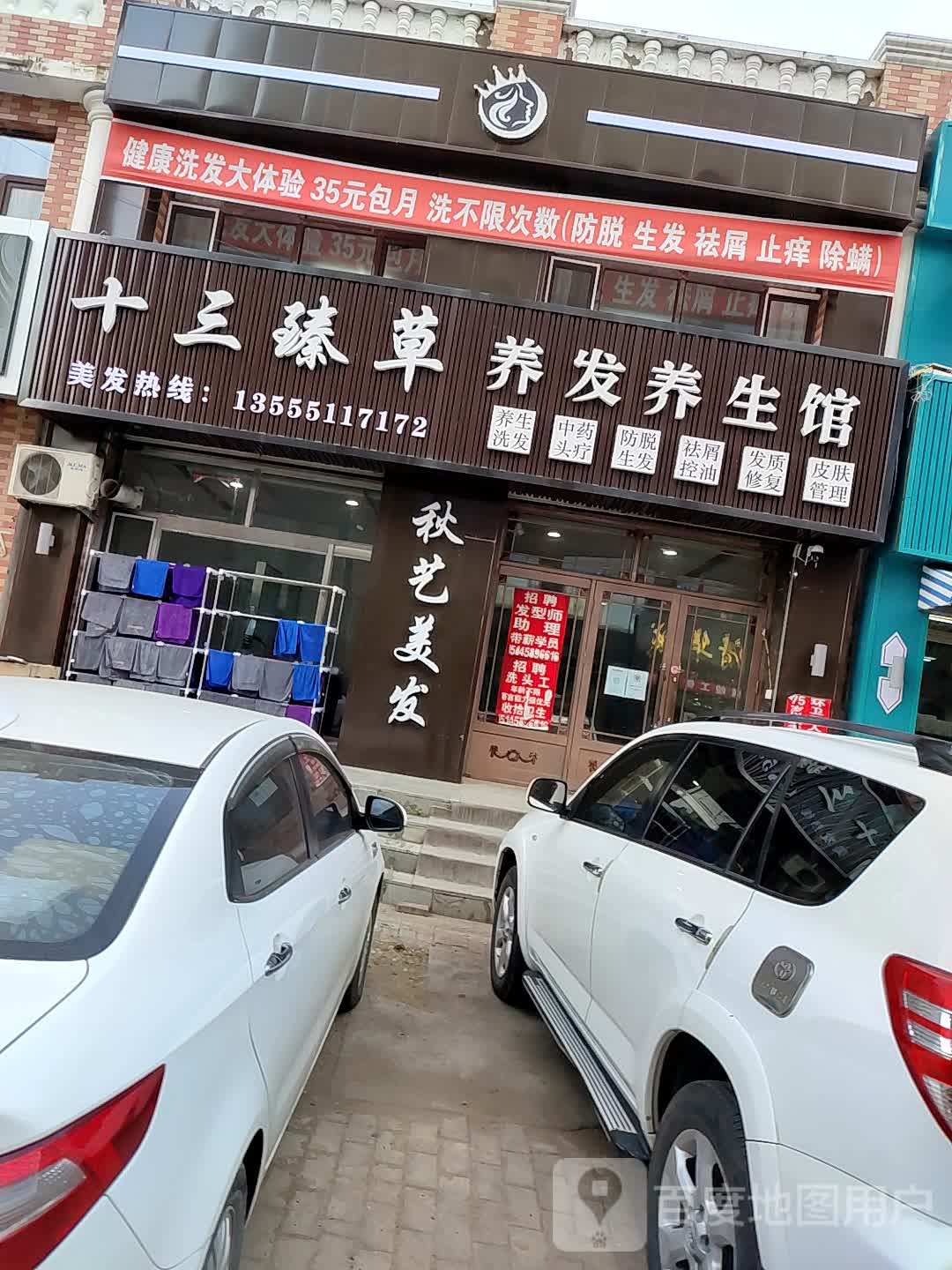 十三臻草养发养生会