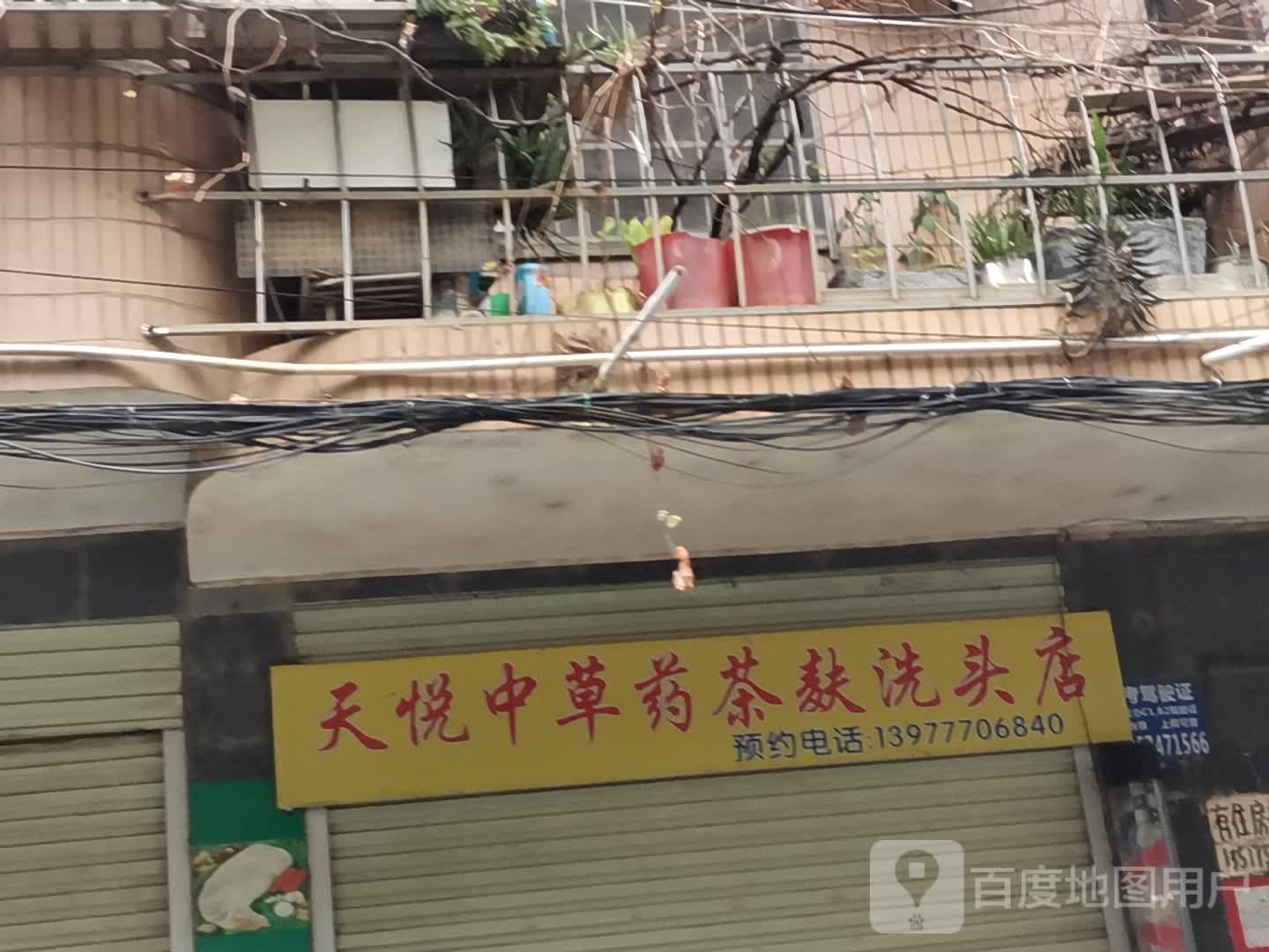 天悦中草药茶麸洗头店