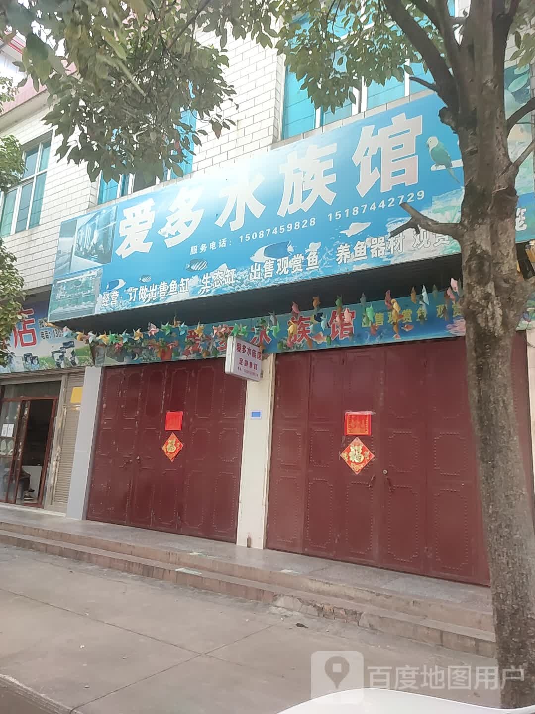 爱水族馆