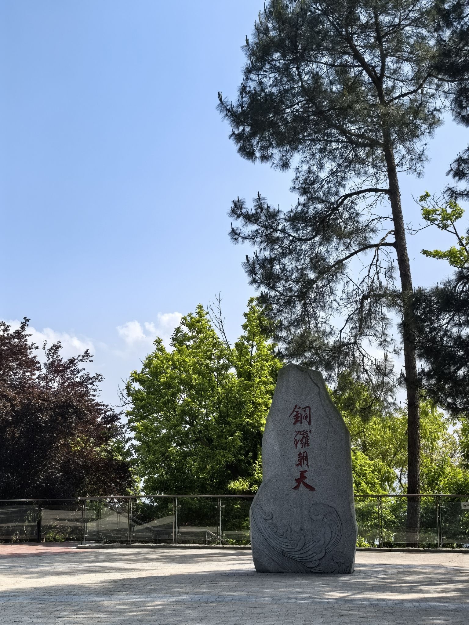 铁山坪森林公园