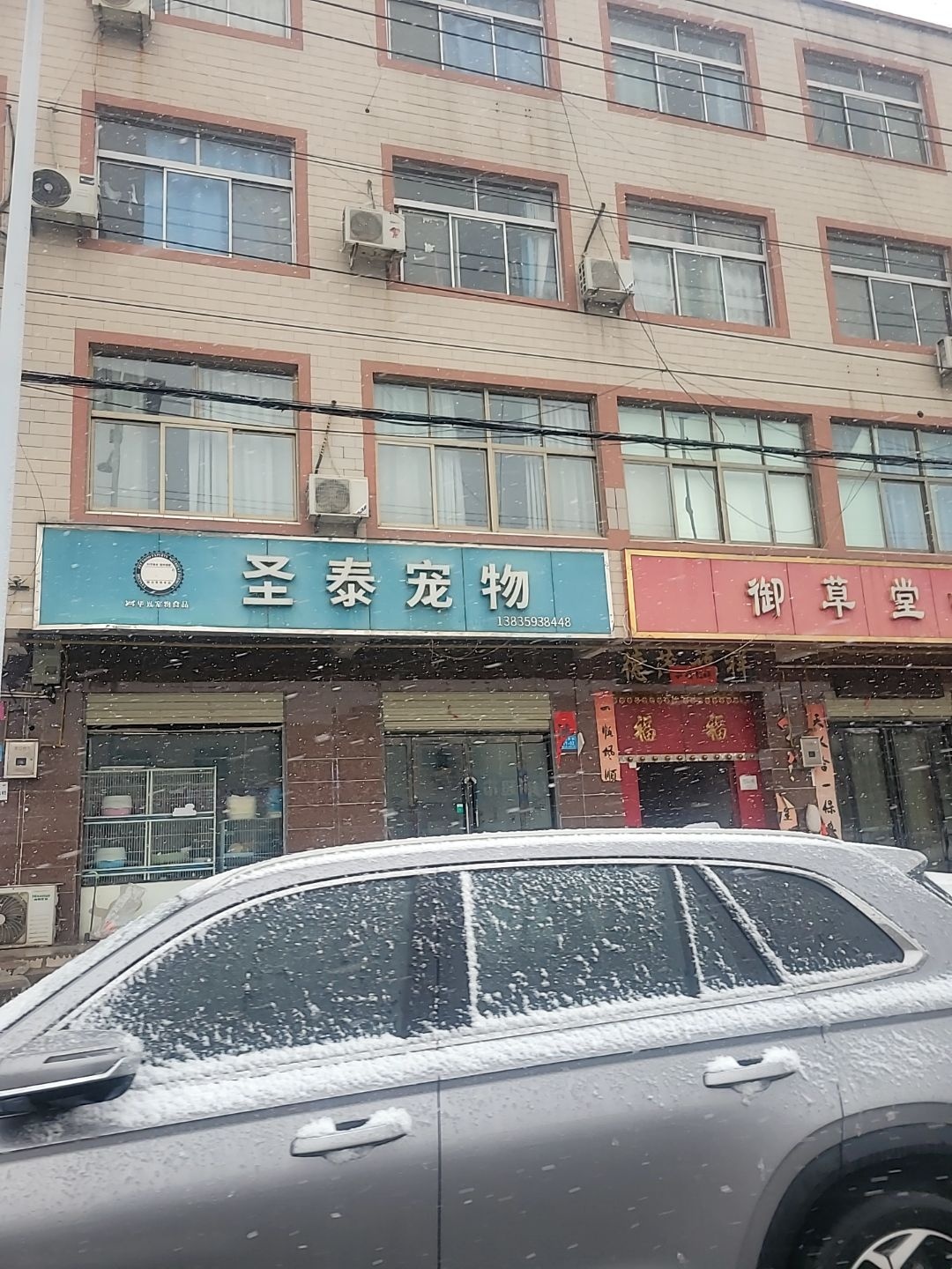 圣泰宠物