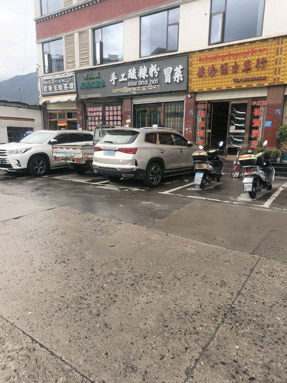 藏珍源虫草行