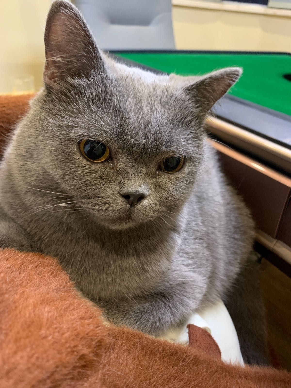 雀神汇·24H共享自助棋牌·茶室·麻将