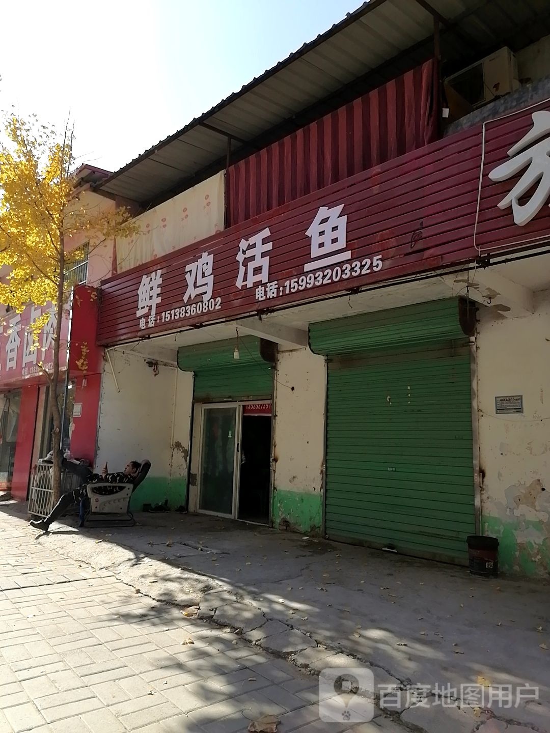 鲜鸡活鱼