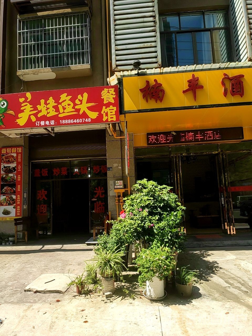 美蛙鱼头餐馆