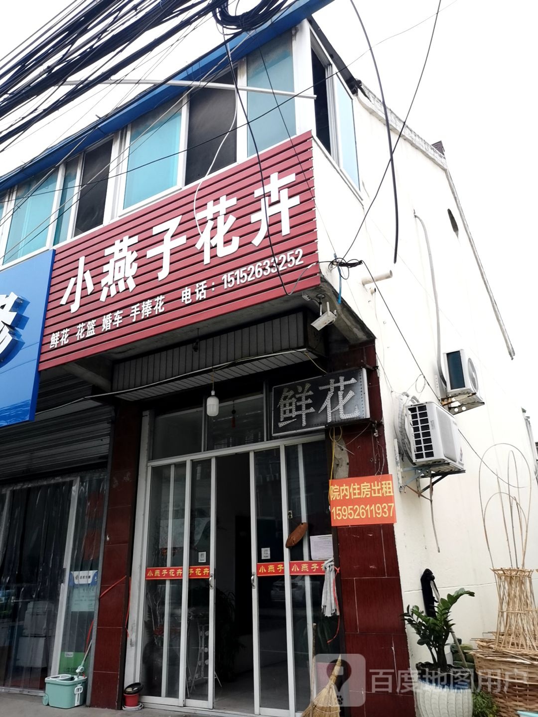 小燕子花卉(港口西路店)