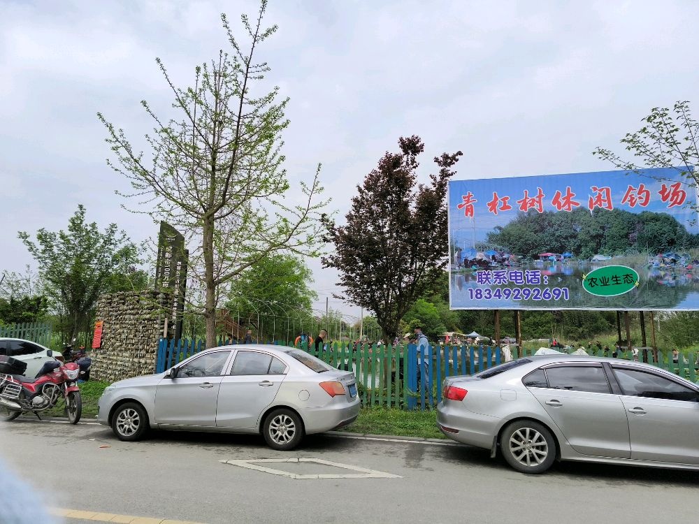 青杠树休闲钓场