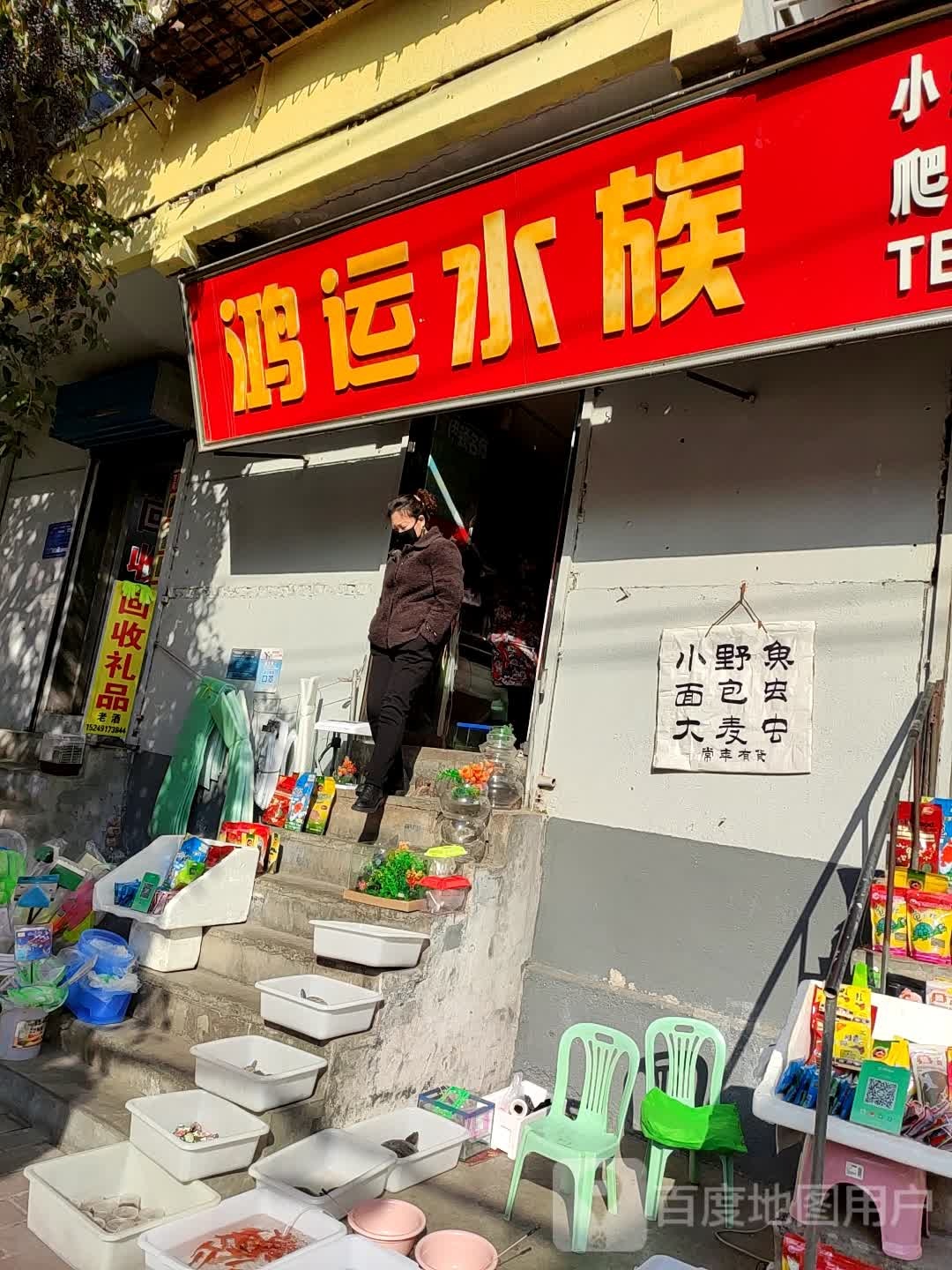 鸿运水族精品店(长青路店)