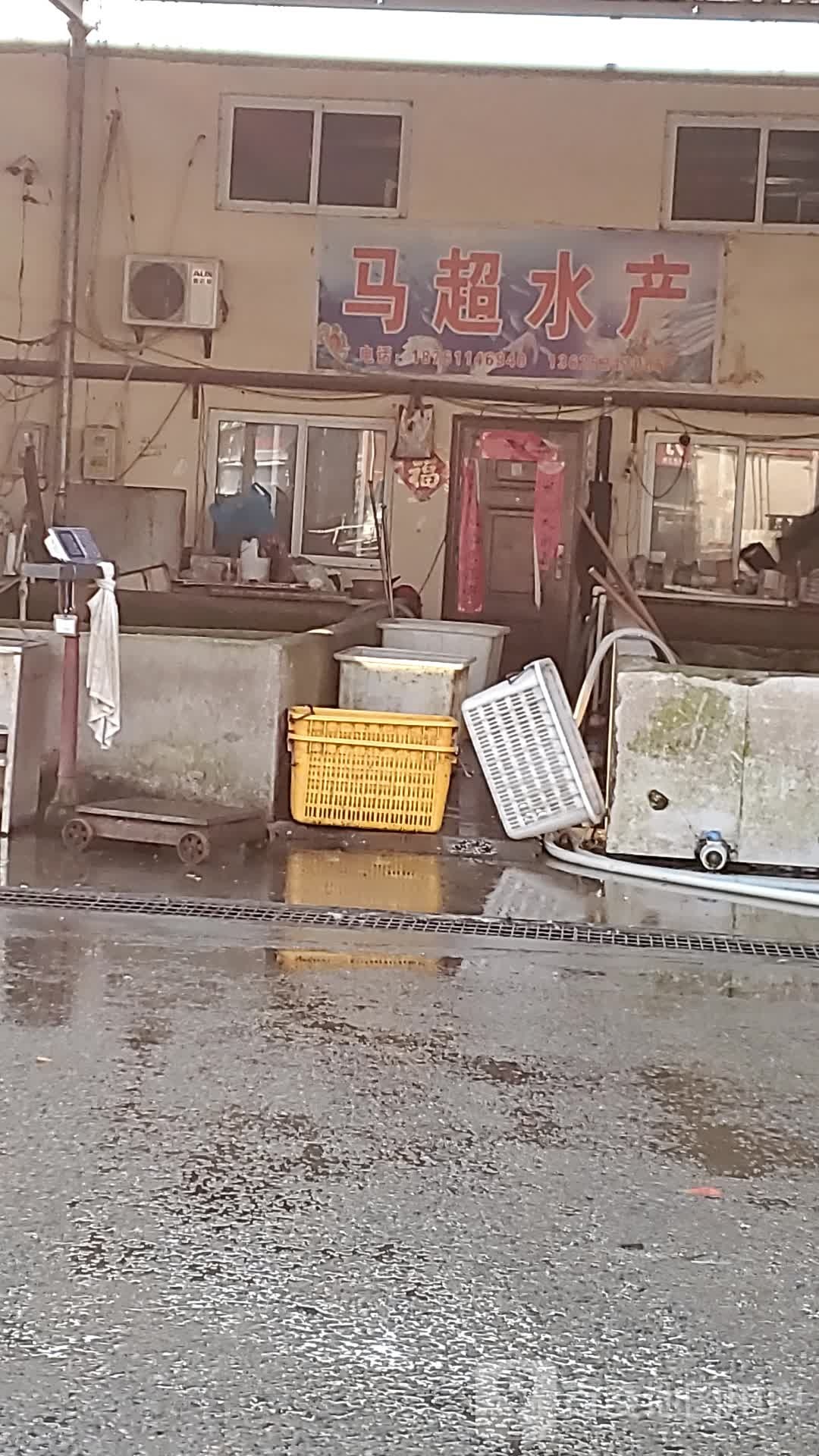 马超睡产