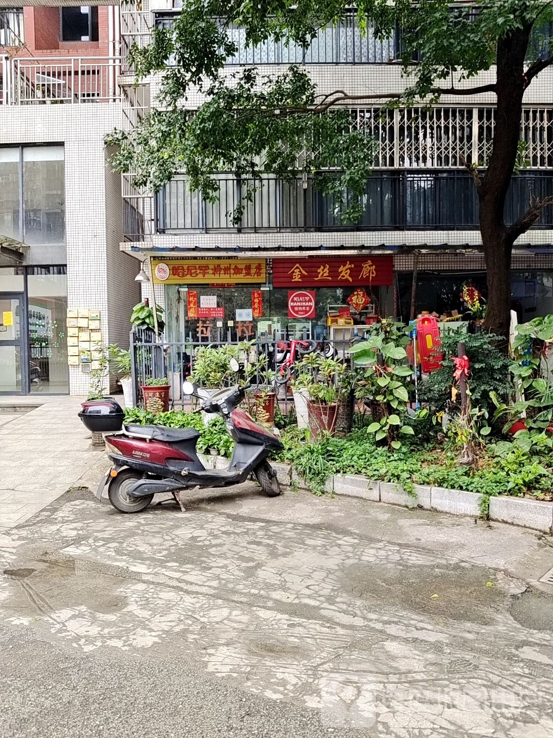 金丝发廊(北雀路店)