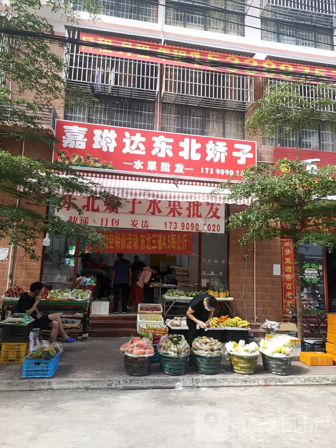 嘉琳达东北娇子