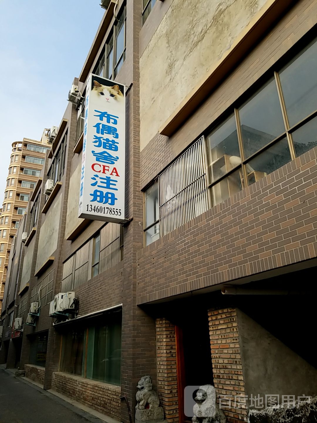 布偶猫社CFA注册