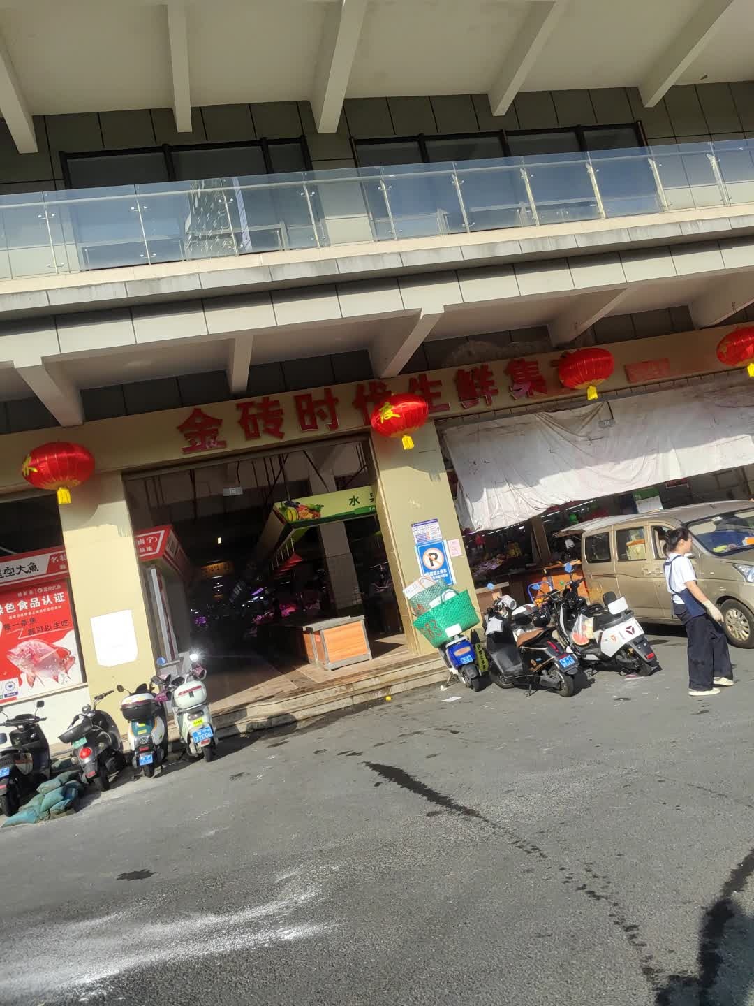凤岭金砖时代