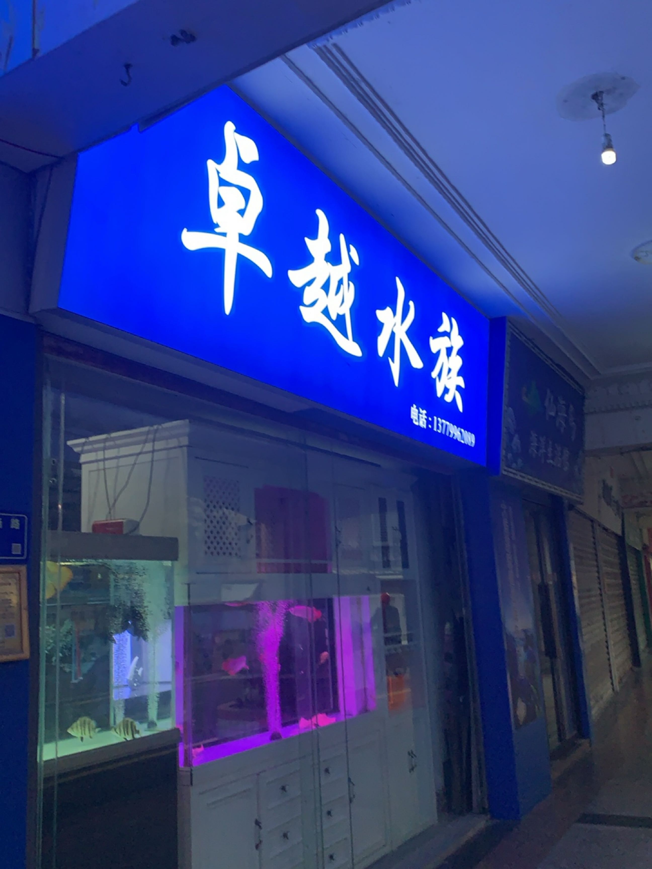 卓越水族