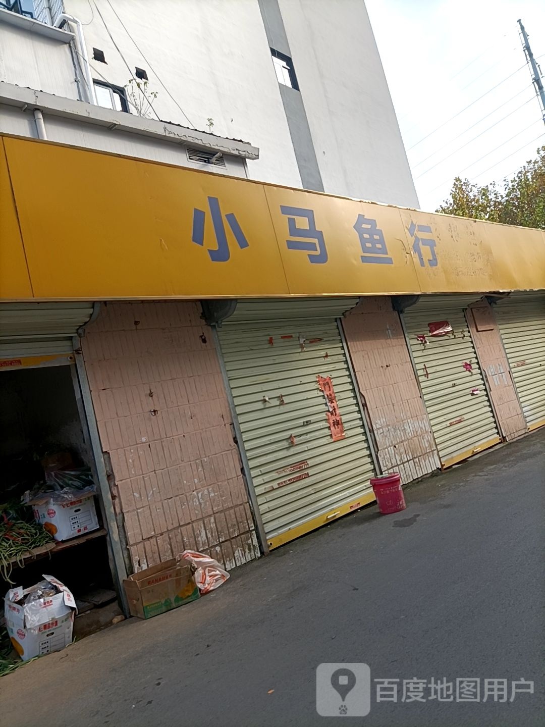 小马鱼行