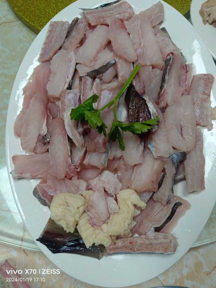 四石膳好浅海鱼