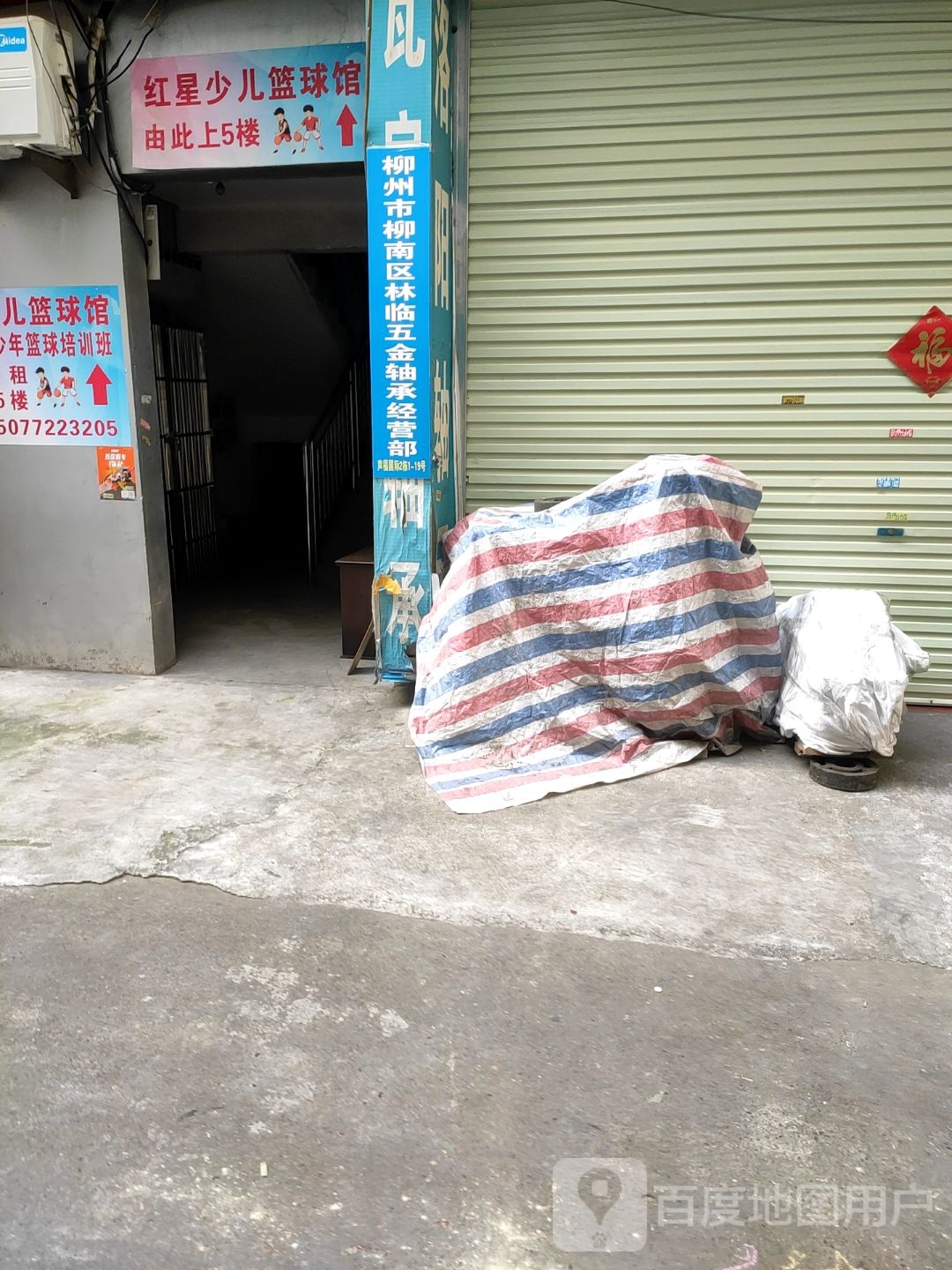 红星少儿陈篮球俱乐部