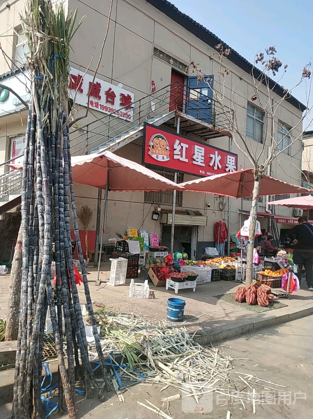 威威太球