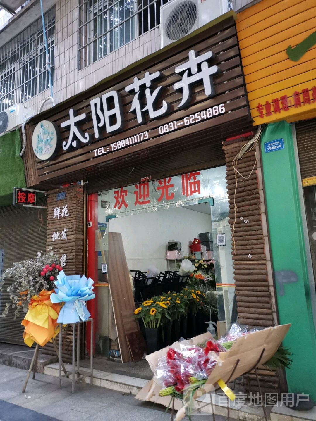 太阳花卉
