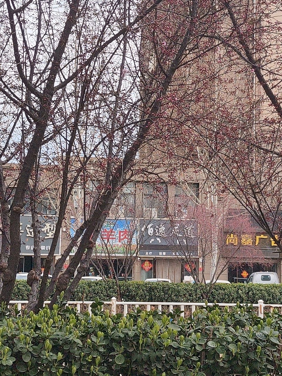 临清市上禧造型(星光星悦城店)