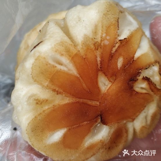 蔡记水煎包附生煎包(浙江商城店)