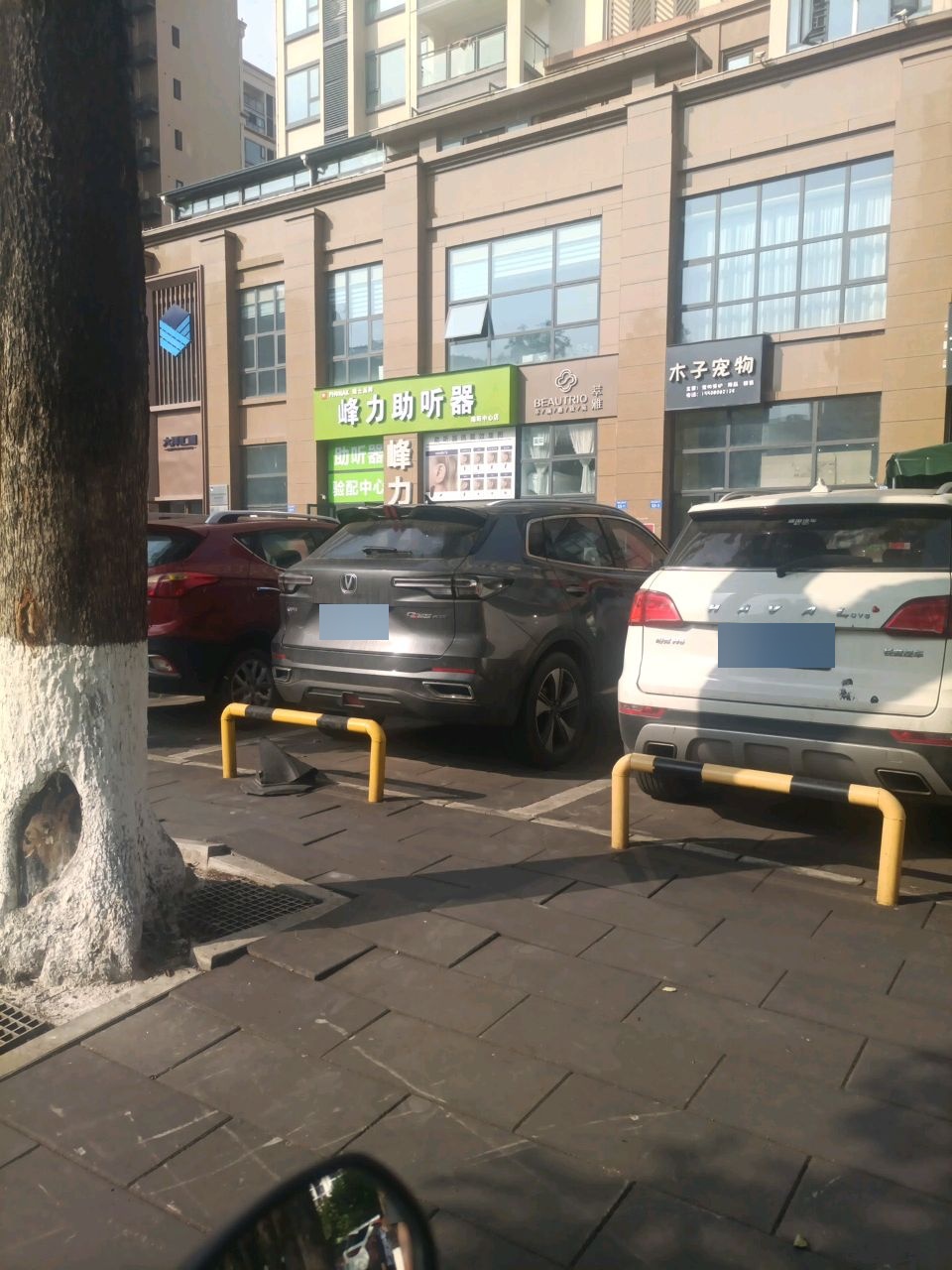 木子宠物店