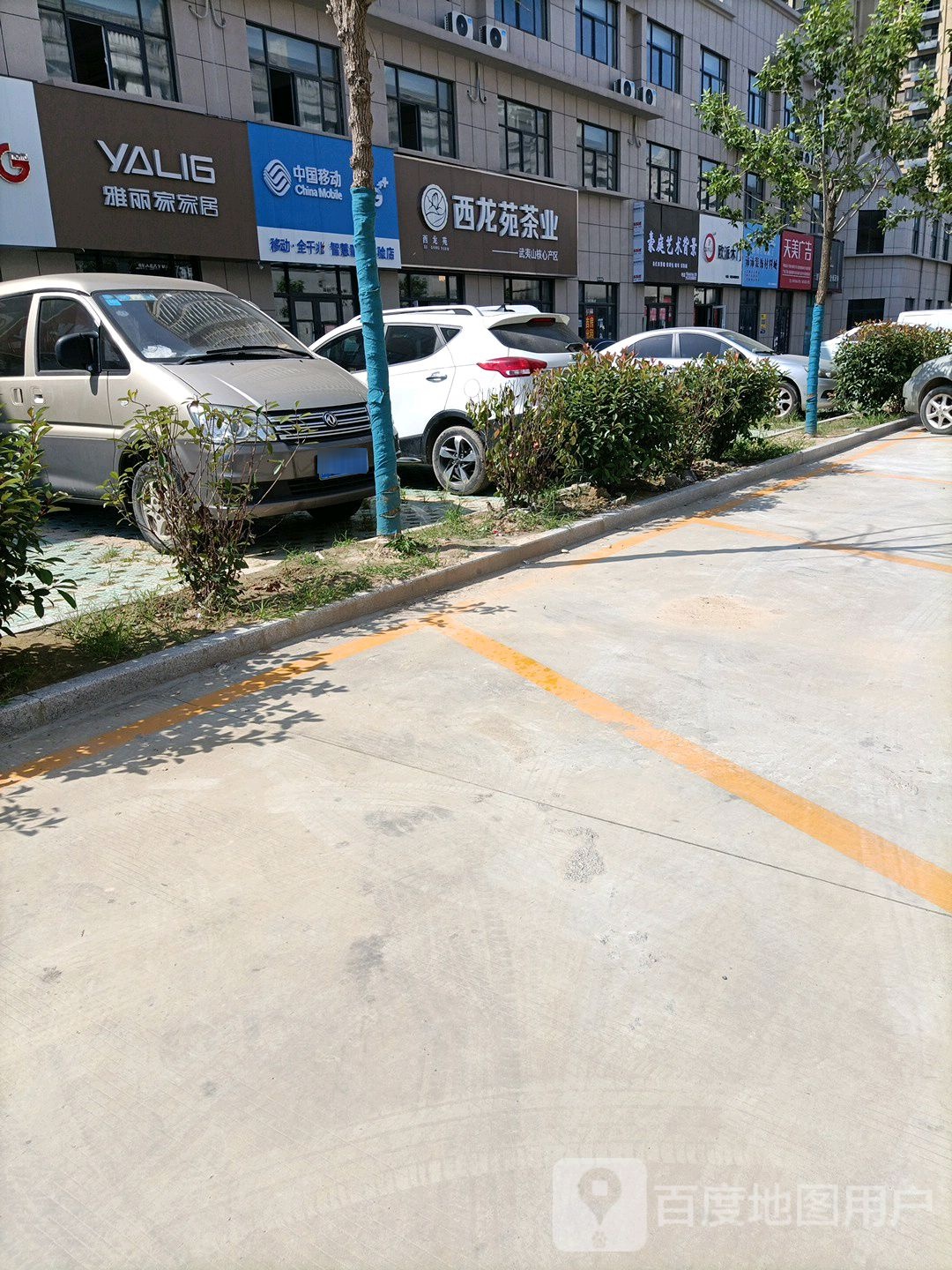 西龙苑茶业