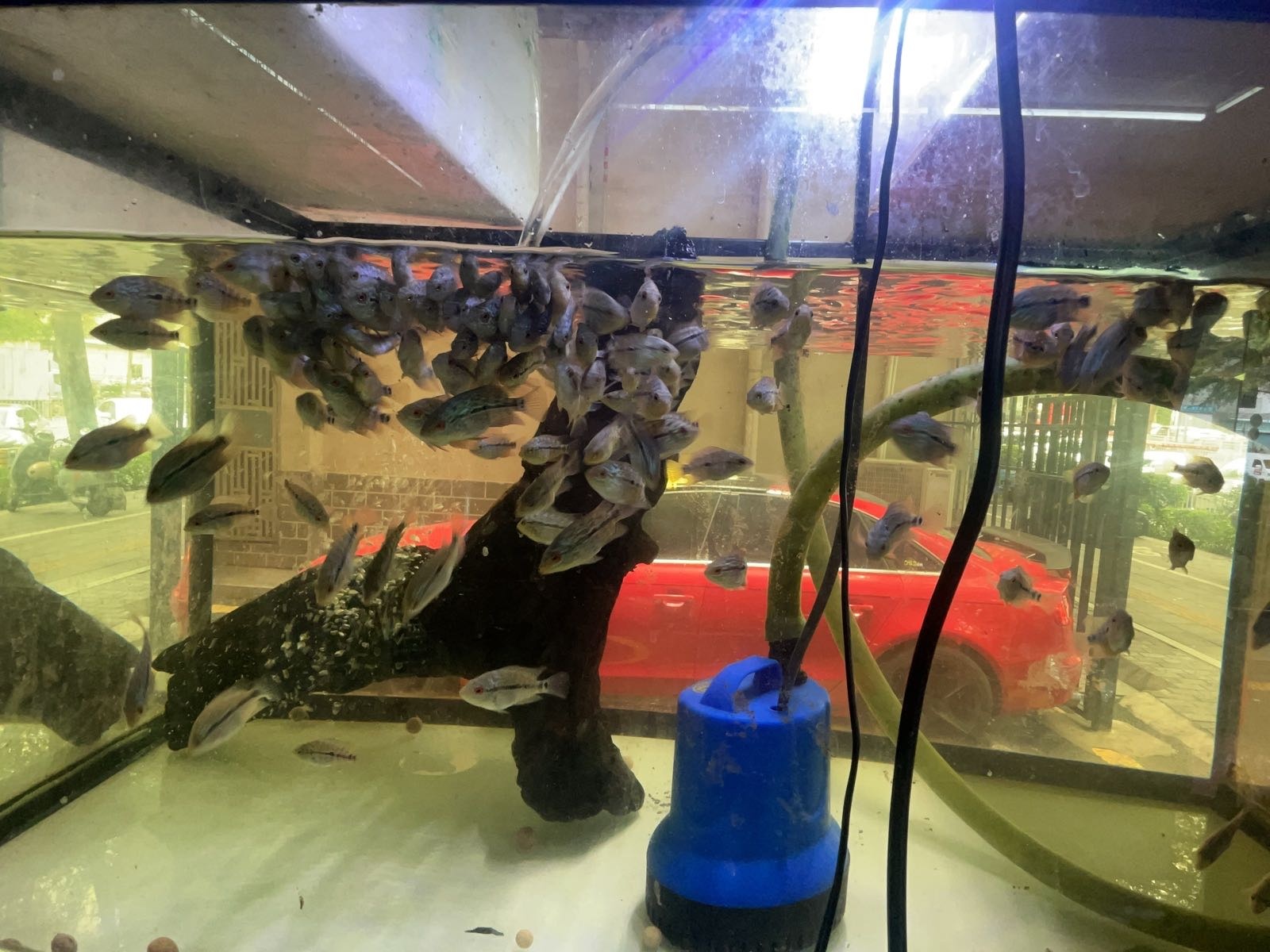 壹方水族馆(谭罗华侨新村三区店)