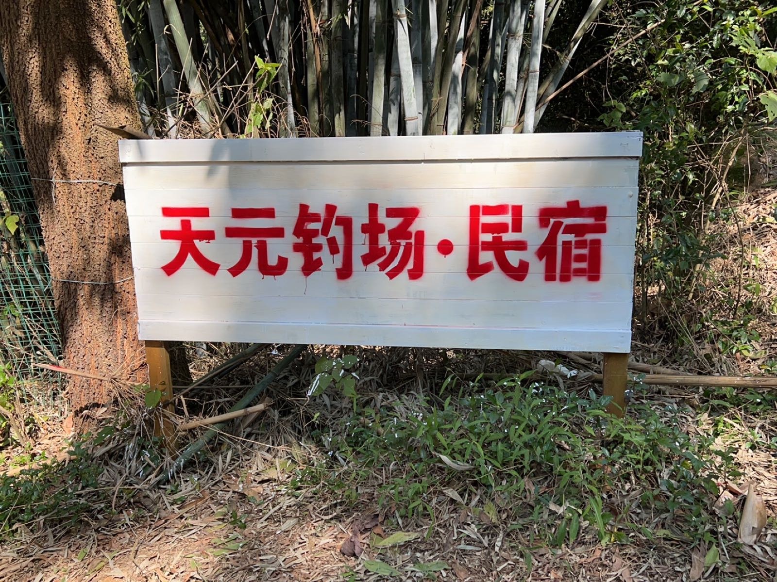 天元钓场·民宿