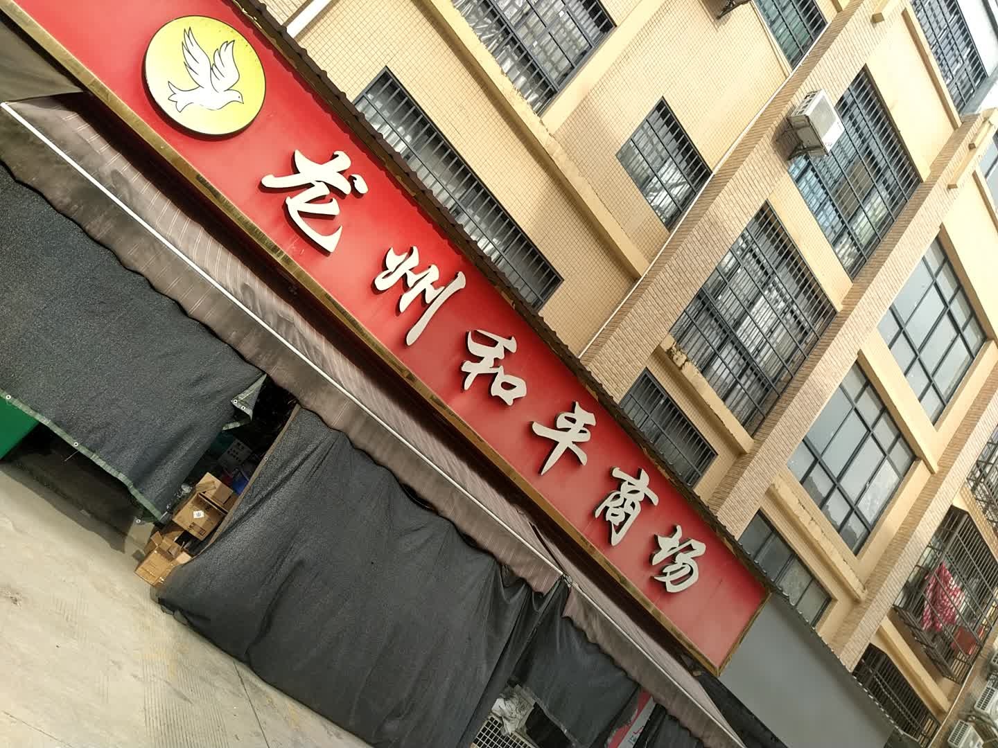 龙州和平商场(S319店)